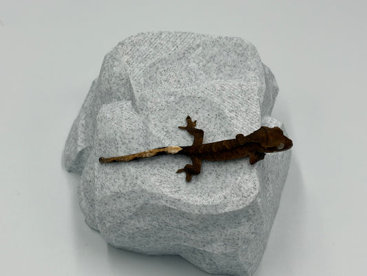 Rock Model 2