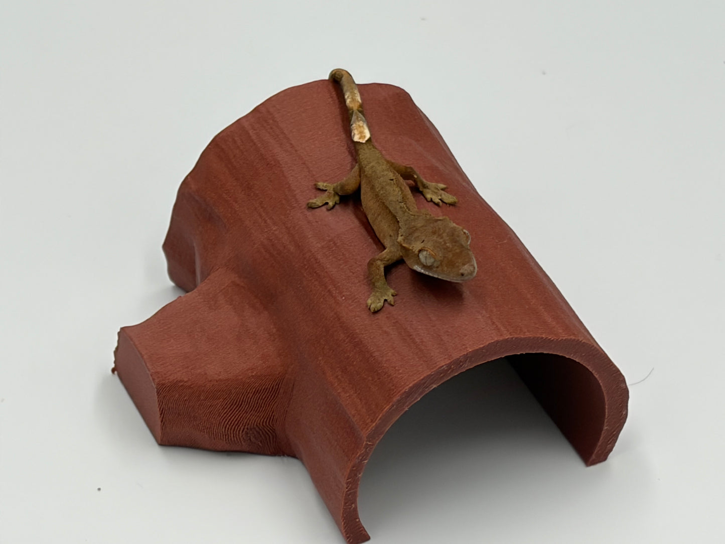 Tiny Log Hide