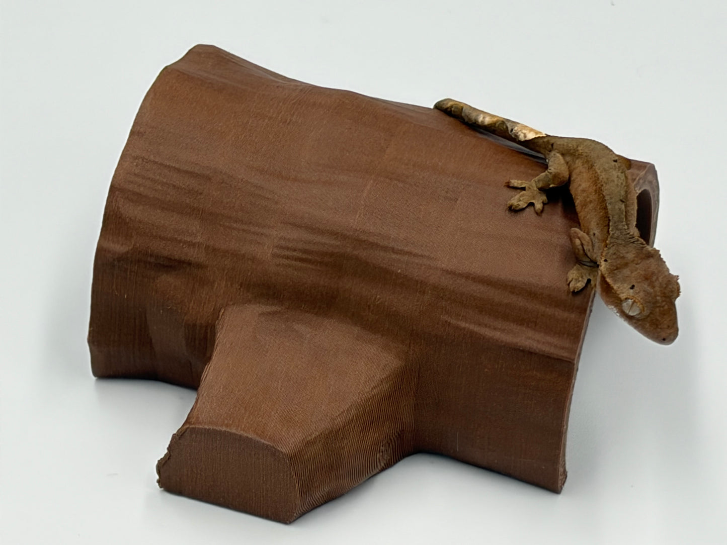 Tiny Log Hide