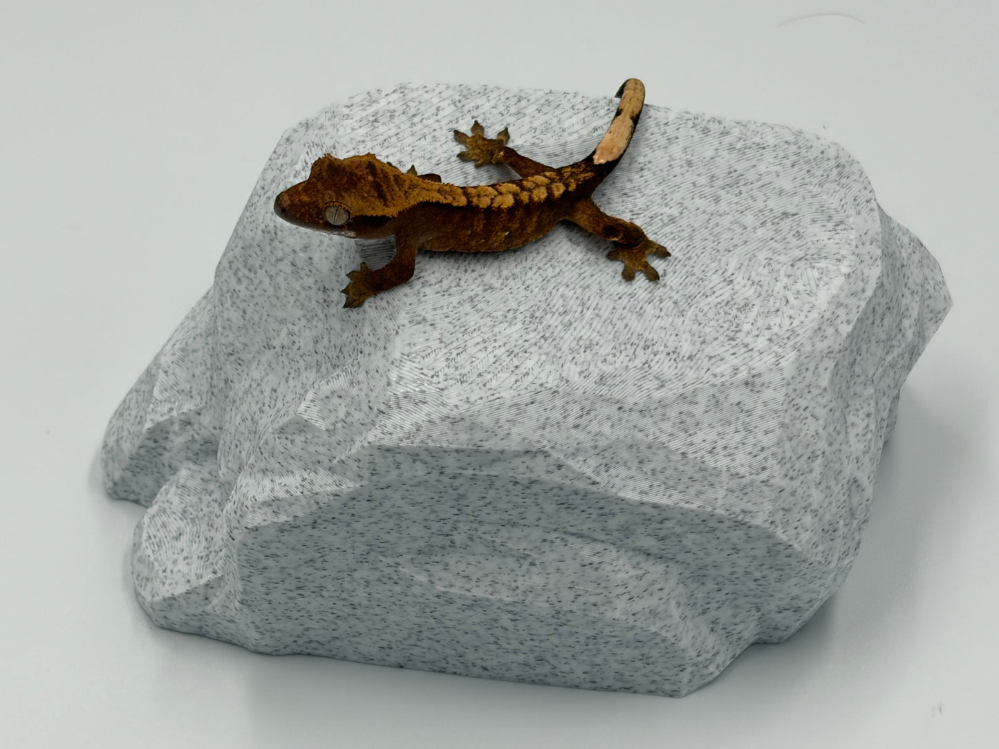 Rock Model 1