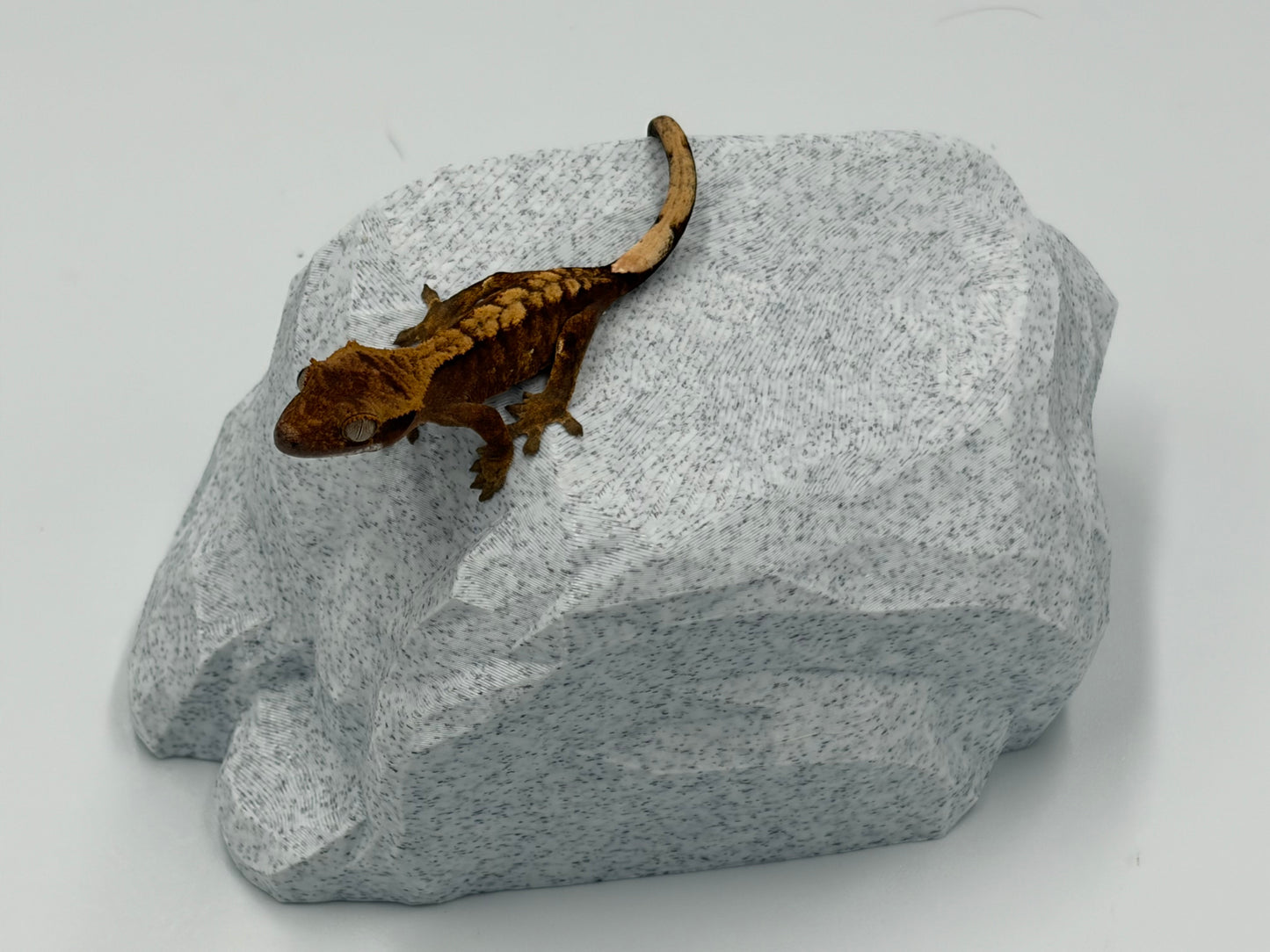 Rock Model 1