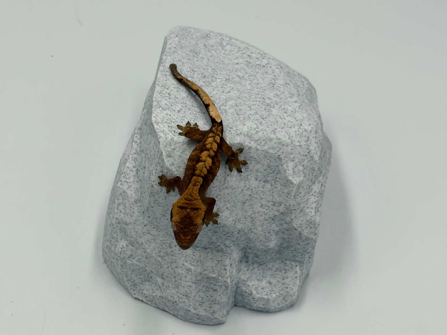 Rock Model 1