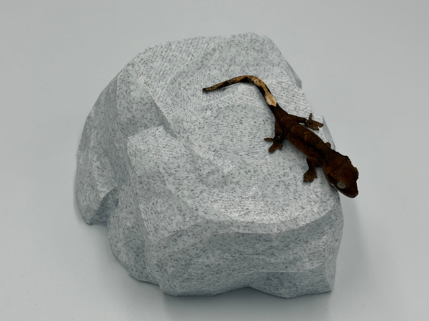Rock Model 2