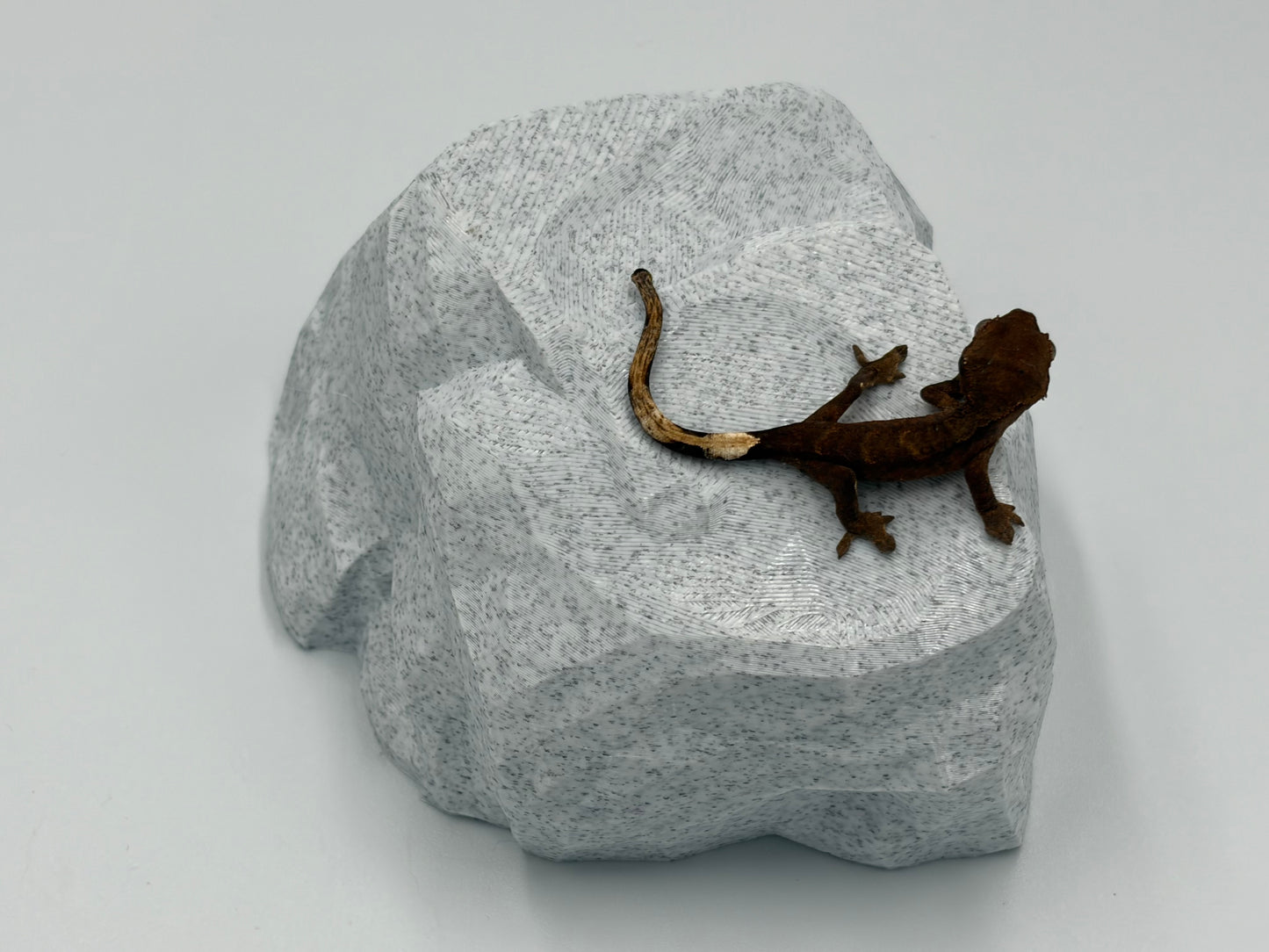 Rock Model 2