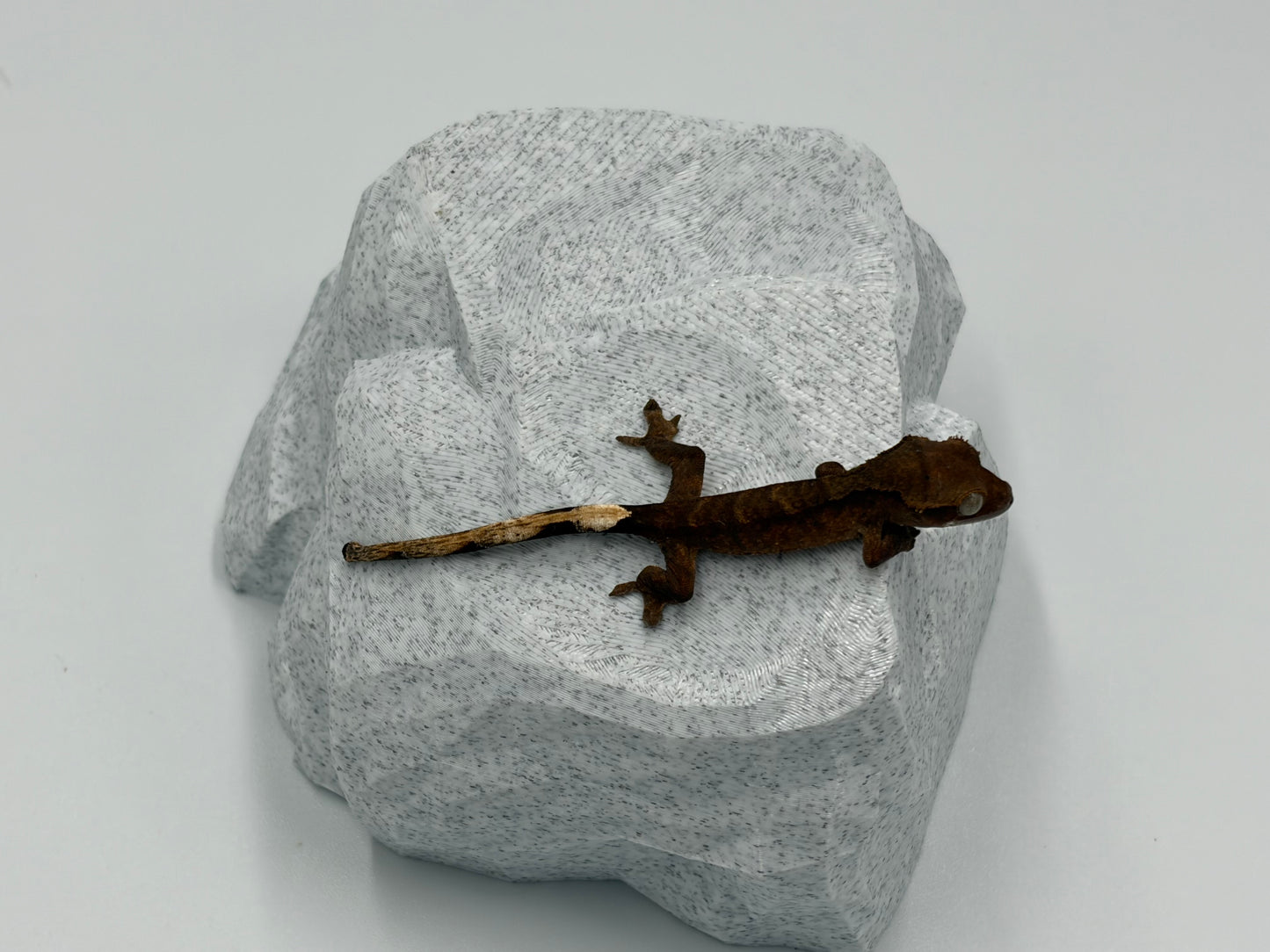 Rock Model 2